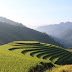 Mu Cang Chai - A special highlight of the mountainous region of North Vietnam