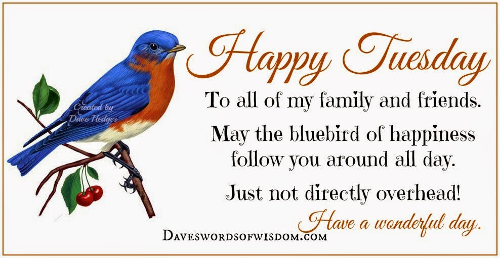 Daveswordsofwisdom.com: Happy Tuesday