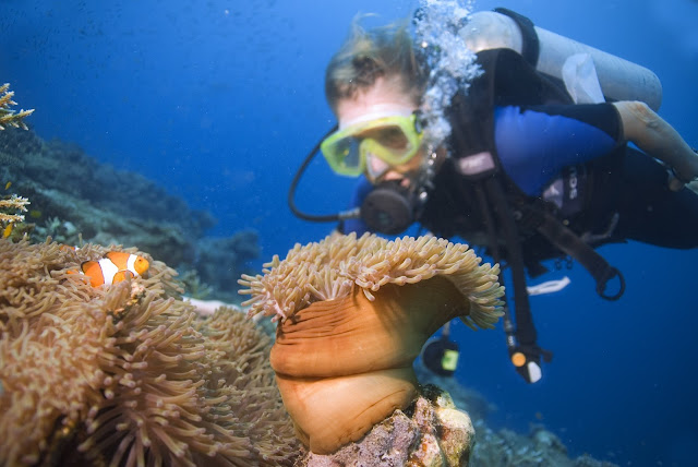 Barefoot Holidays brings the Andamans one step closer to you Barefoot Holidays brings the Andamans one step closer to you