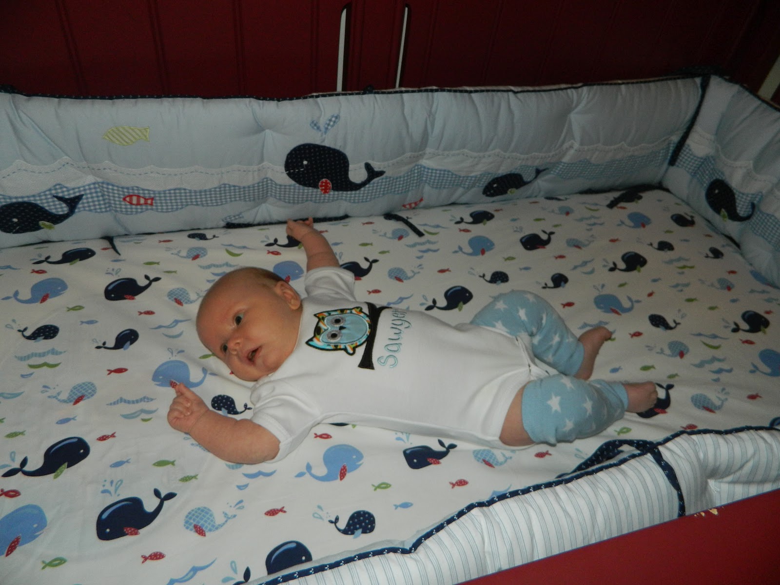 This is the Day! 6 Weeks Old