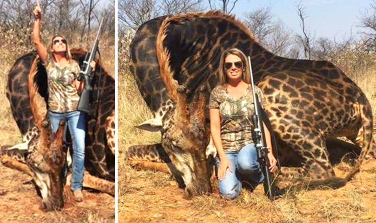 American Hunter Posed With A Dead Rare Black Giraffe She Shot And Sparked Outrage On Social Media