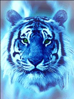 Arctic Animals: Select Theme Learn