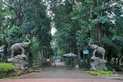 gajah tunggang kebun binatang ragunan jakarta