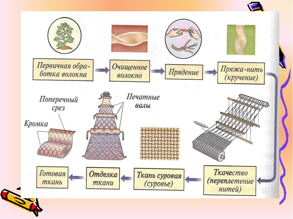 Растительные ткани. Строение образовательной ткани. Строение клетки и ткани растений. Ткани животных и ткани растений таблица. Что такое технология производства ткани.