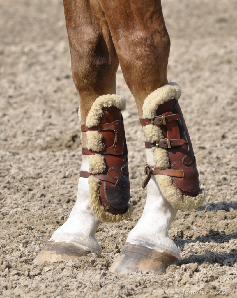 Braymere Custom Saddlery: Huntseat equitation