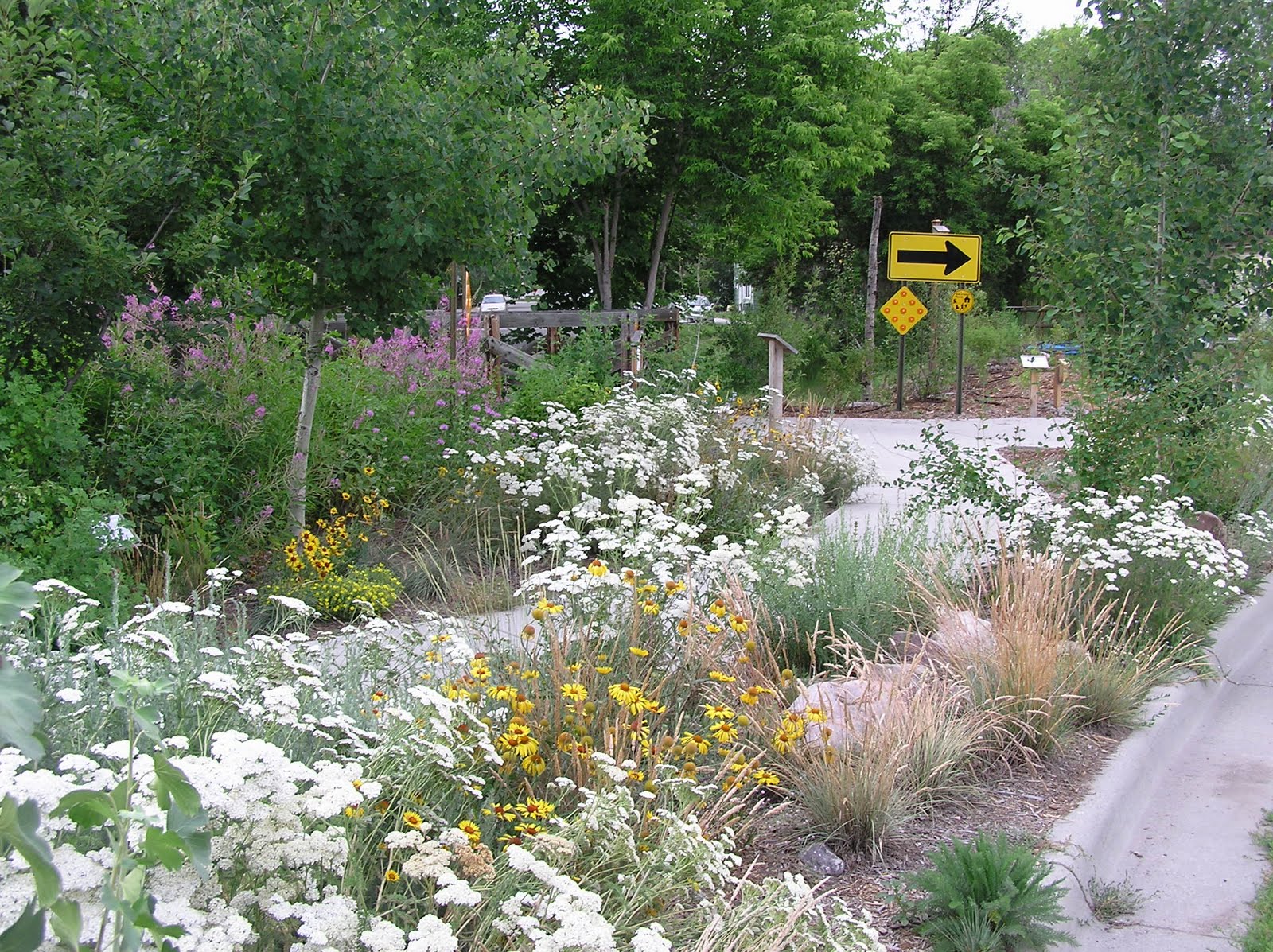 Montana Wildlife Gardener Native Plant Gardening Events June 25 & 26