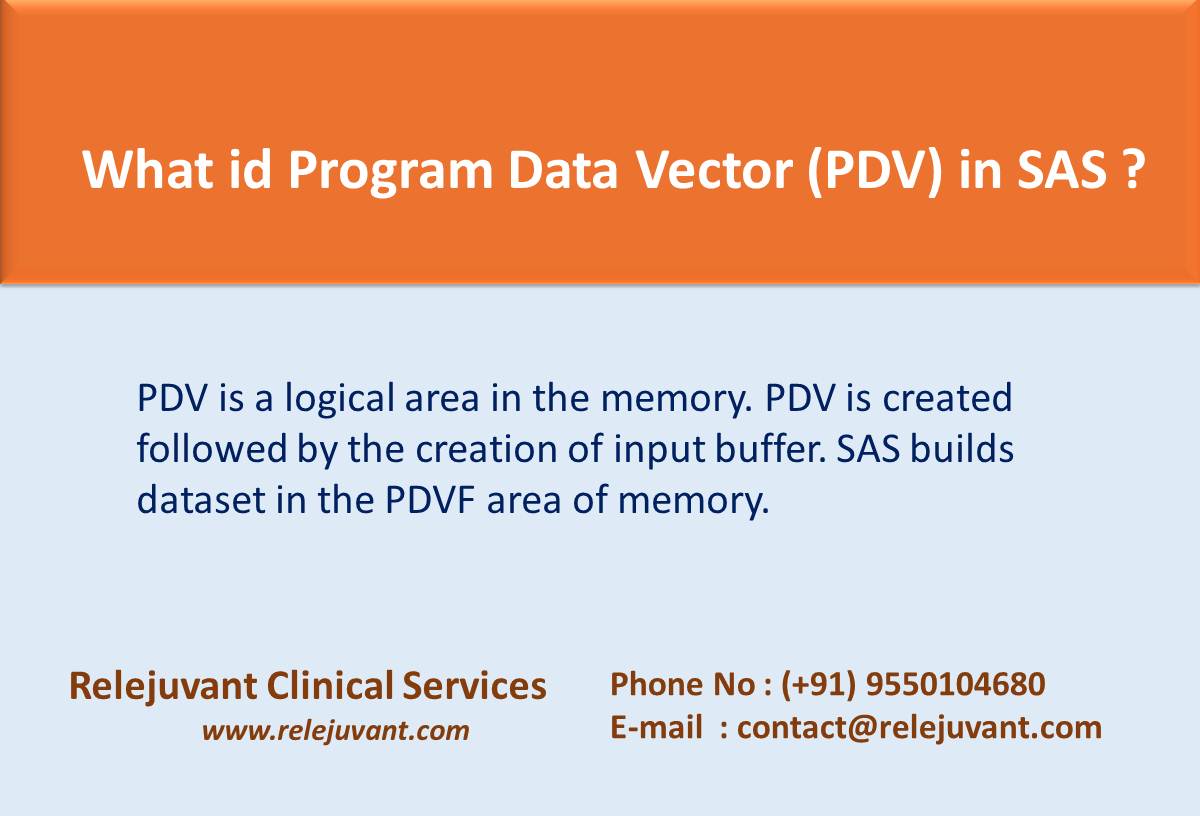 What is Program Data Vector (PDV) in SAS | Relejuvant Clinical Services