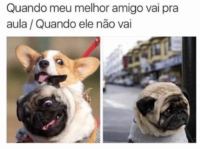 Memes engraçados Memes engraçados