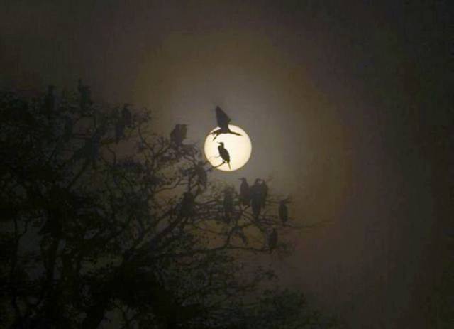 Ritemail+Picdump-013.jpg