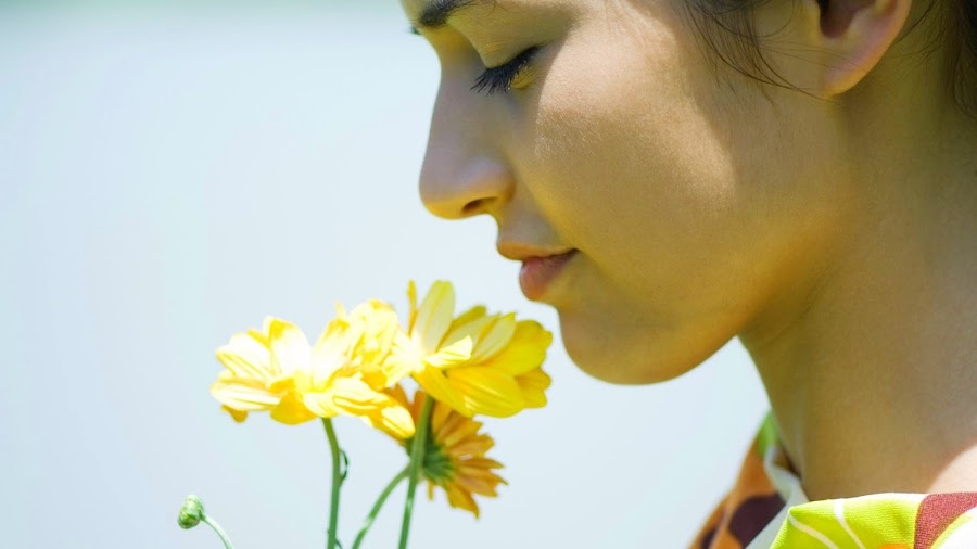 Mejoras en nuestro cuerpo al abandonar el tabaco