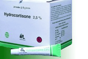 Ilustrasi serangan tomcat