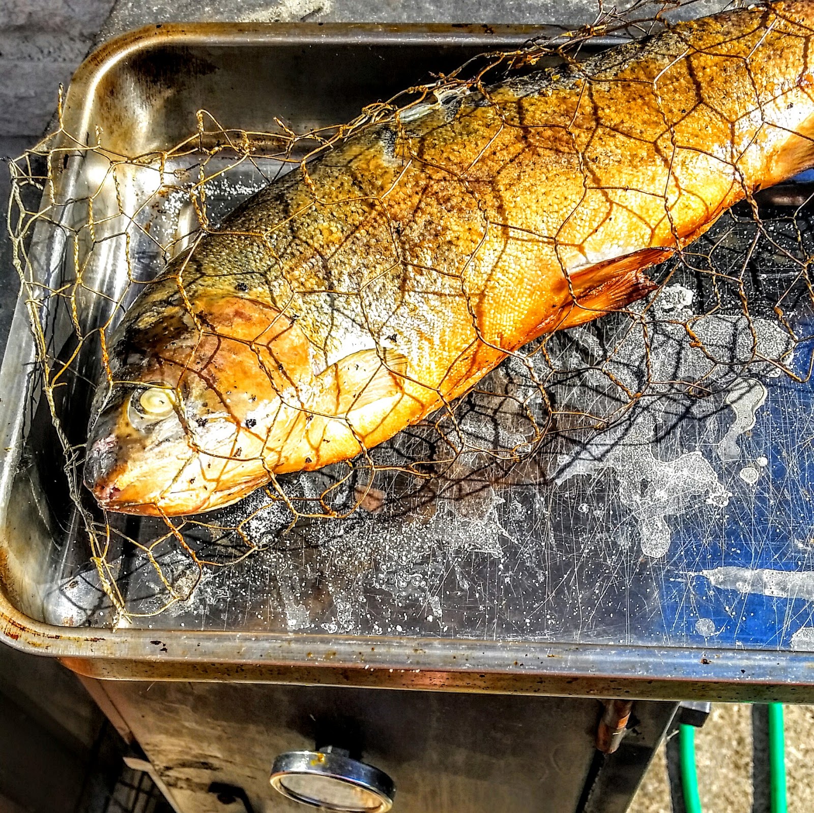Meatalicious Smoked Rainbow trout