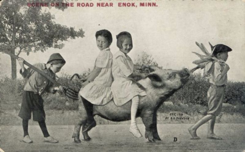 Vintage Photos Exaggeration Postcards