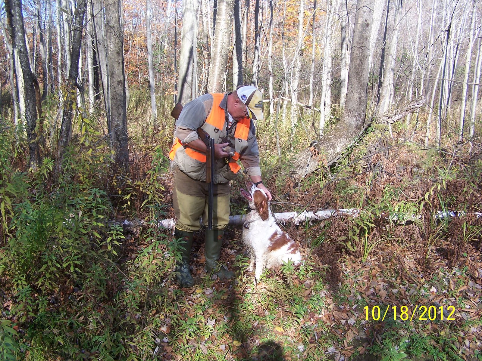 Vermont Bird Hunting Vermont Bird Hunting