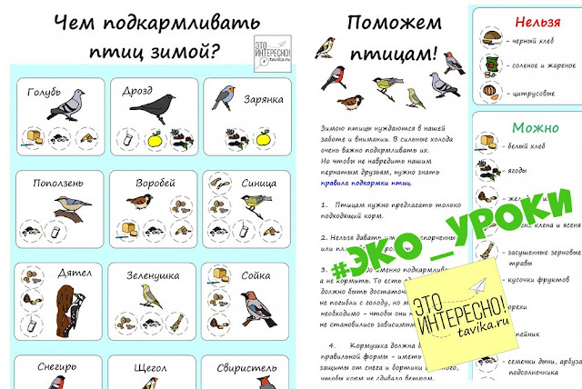 Что такое экология для детей картинки. Смотреть фото Что такое экология для детей картинки. Смотреть картинку Что такое экология для детей картинки. Картинка про Что такое экология для детей картинки. Фото Что такое экология для детей картинки