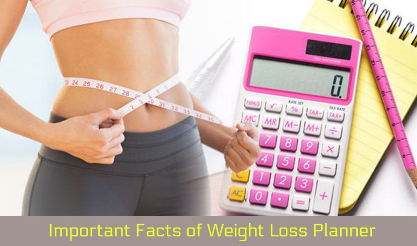 Important Facts of Weight Loss Planner World Informs