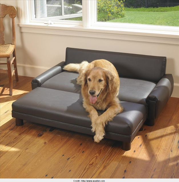 Leather Dog Couch