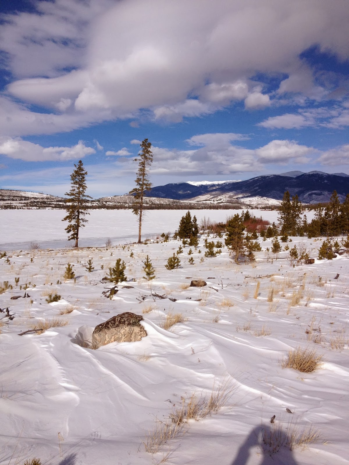 Desert Grandparents Snow, Snow and More Snow