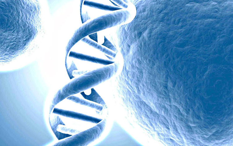 Biología Celular Biología Celular