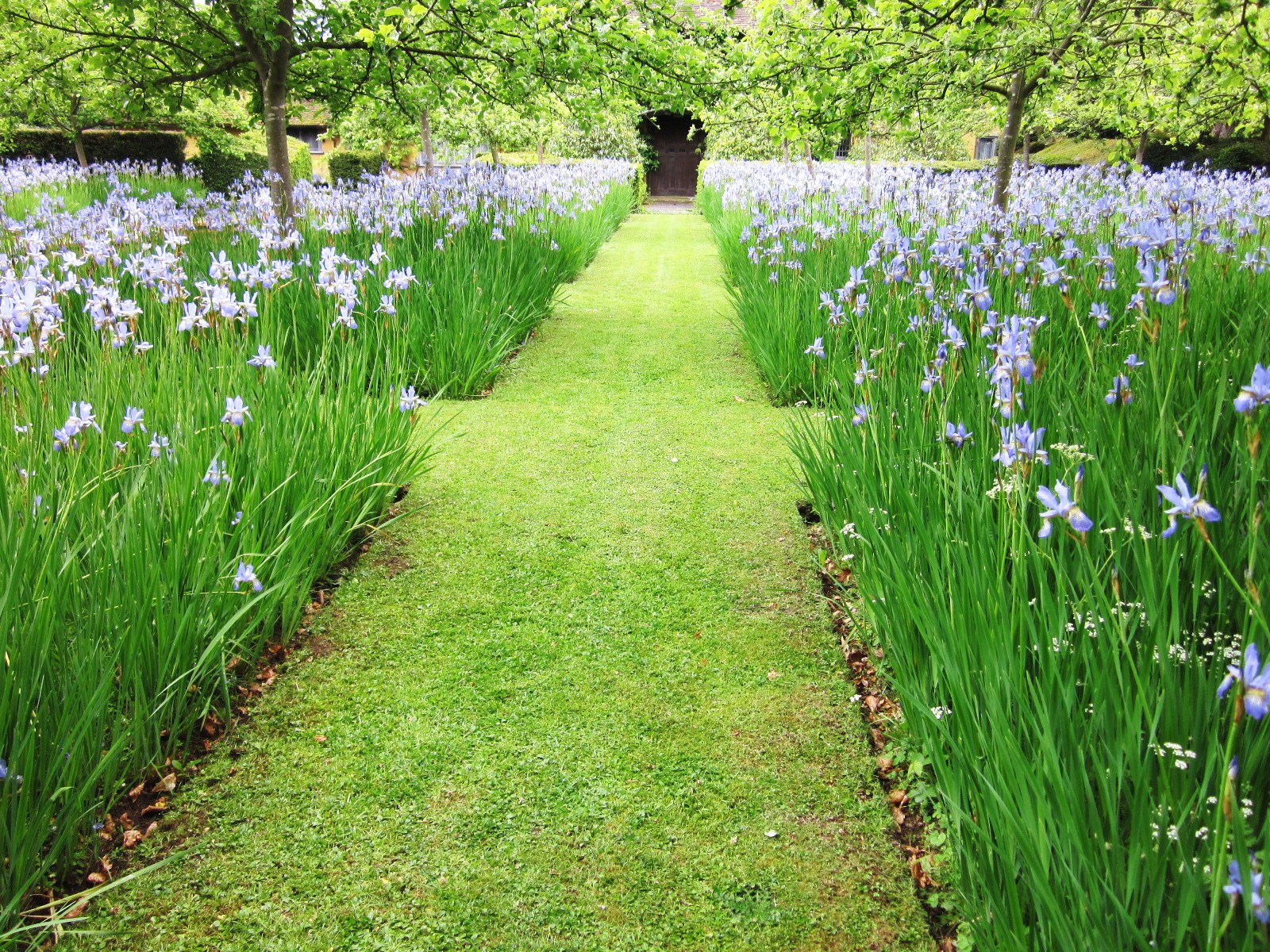 garden at heart Formal gardens with a modern twist II