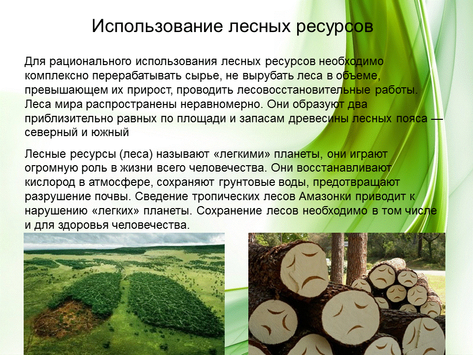 Приведите примеры рационального использования человеком лесных ресурсов