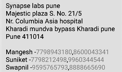 Synapse Pune Synapse Contact