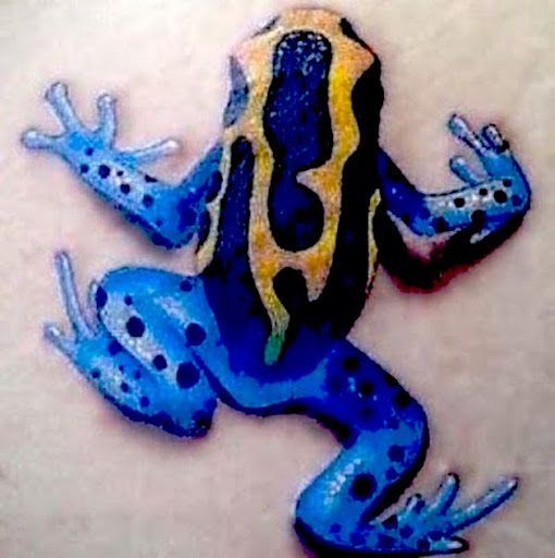 Este sapo azul