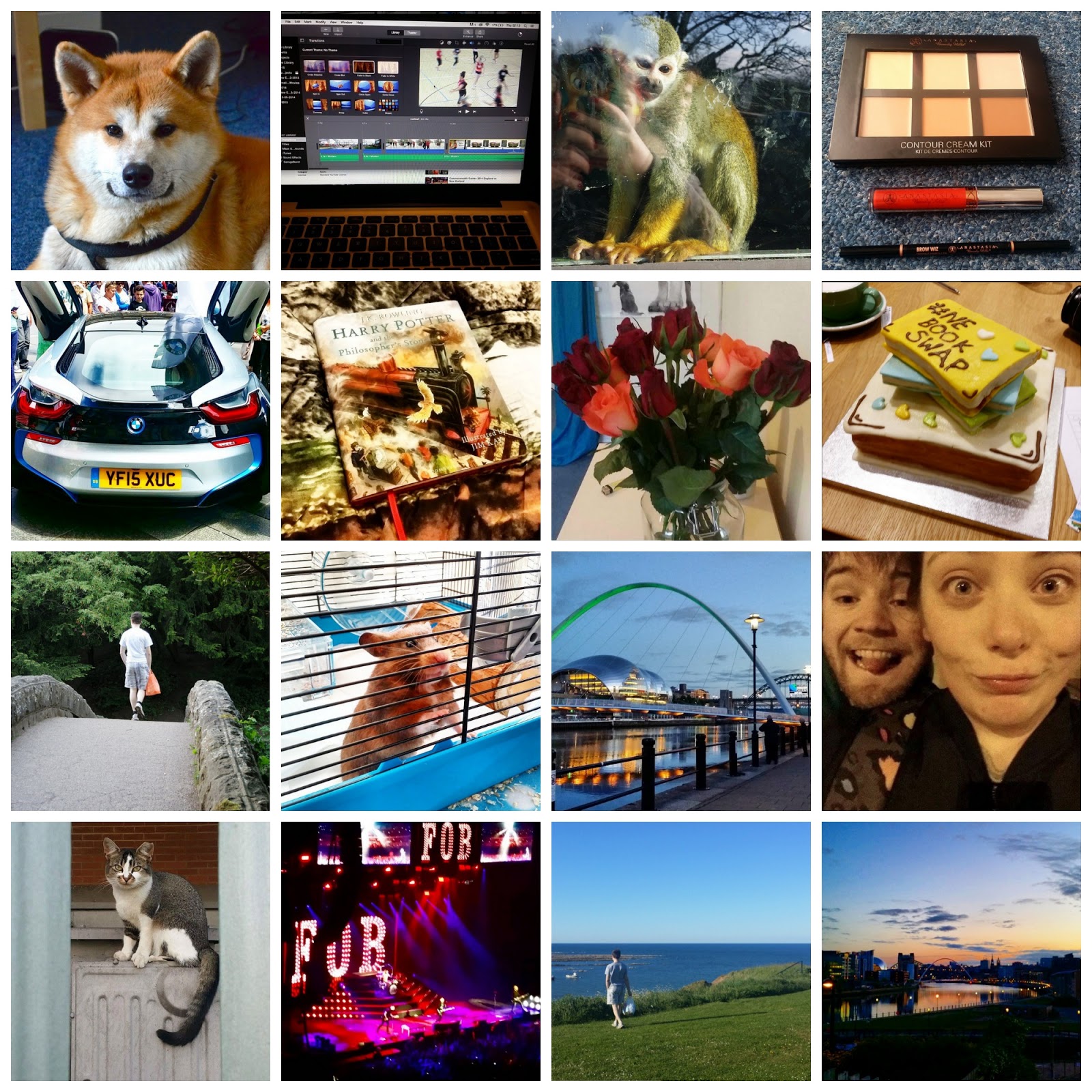 BLOGMAS: MY FAVOURITE INSTA'S OF 2015