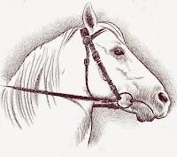 http://tips-trick-idea-forbeginnerspainters.blogspot.com/2014/10/the-horse-painting-tips.html