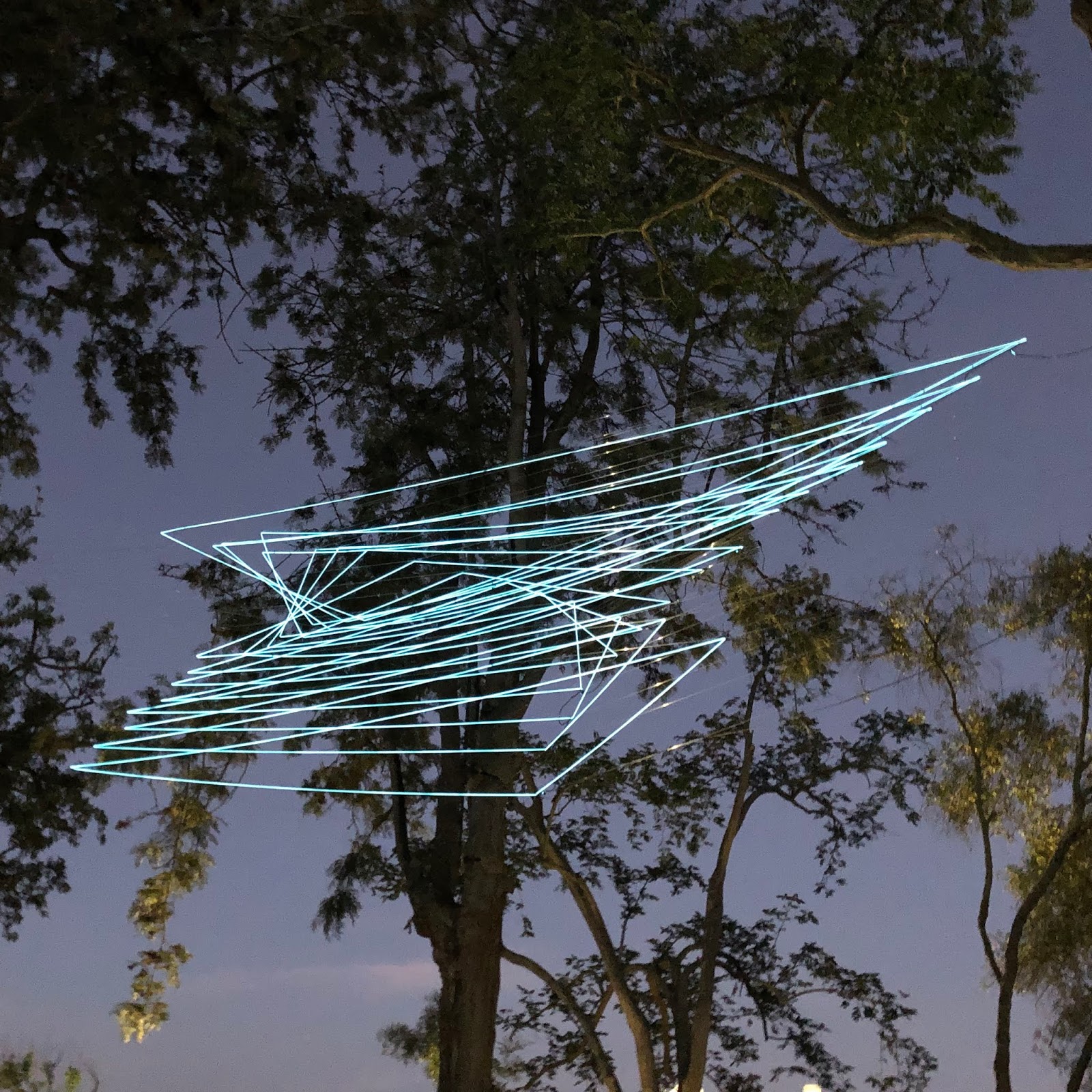 Spier Light Art Exhibition / Gee Whiskers!