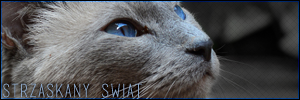 Nasz baner: