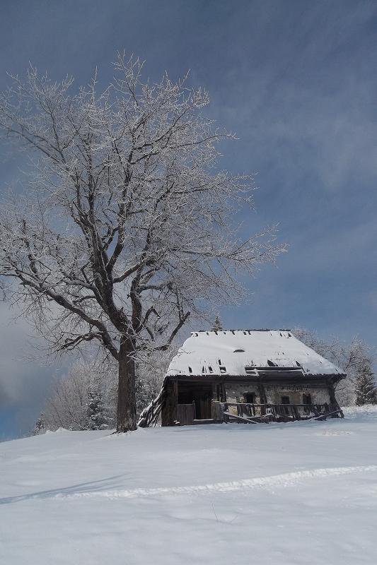 Brodina ,Suceava Bucovina
