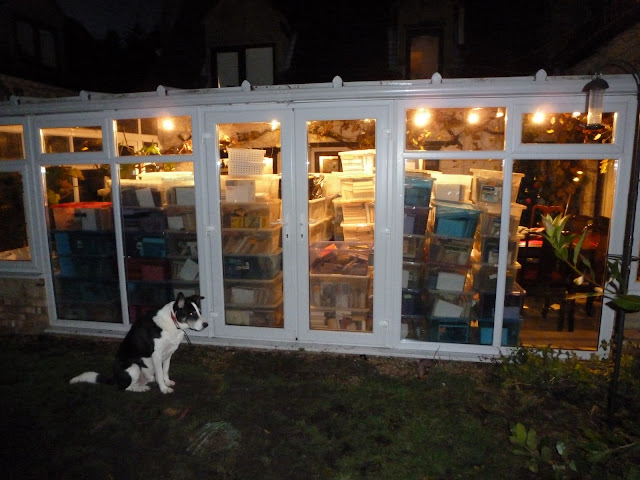 365 Project: Failures are the Stepping Stones to Success, or You can only steer a moving car