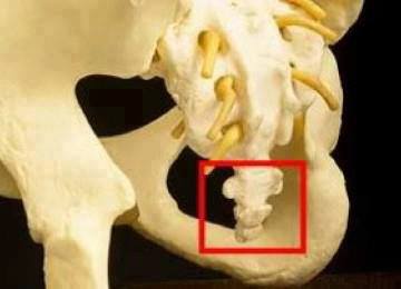 http://4.bp.blogspot.com/-EaEm9PMVTJg/Vk3wdeqRZGI/AAAAAAAAL6o/D9_k_YgLxCw/s400/Misteri%2BTulang%2BSulbi%2Byang%2BMerekam%2BSemua%2BPerbuatan%2BManusia.jpg