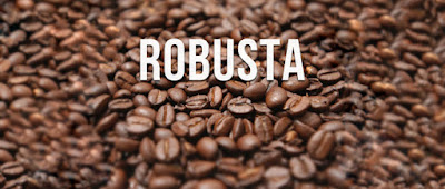 cafe-robusta-coffee-ca-phe