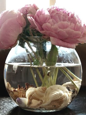 glass vase with shells