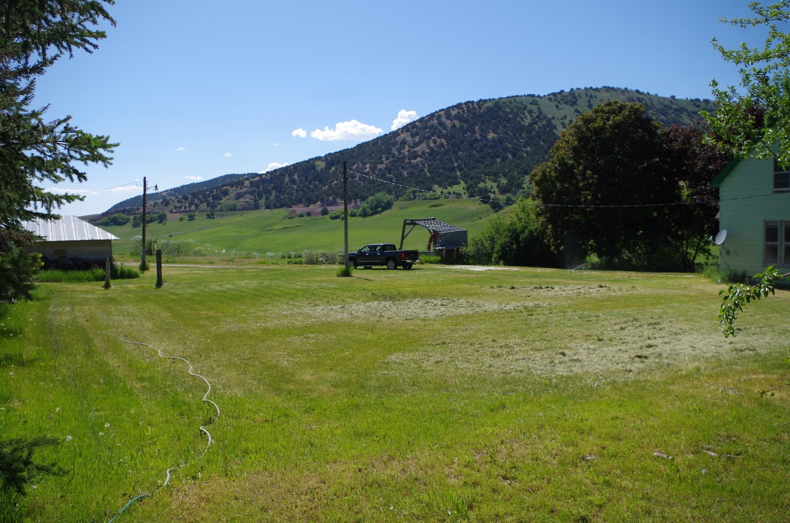 Blonde African Americans Cleaned the Mink Creek house and cut the grass