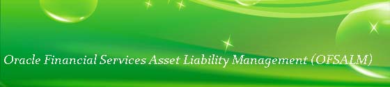 Oracle Financial Services Asset Liability Management (OFSALM) Oracle Financial Services Asset Liability Management (OFSALM)