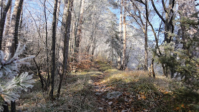 Auf dem Weg nach Welschenrohr Auf dem Weg nach Welschenrohr