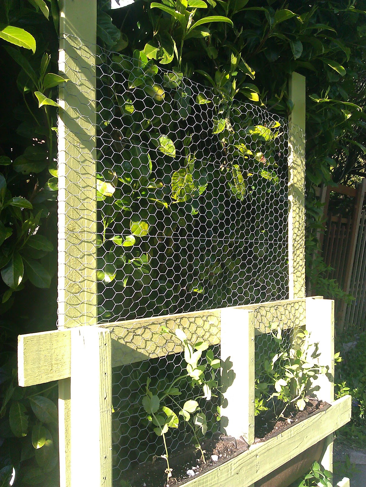 Vertical Pallet Garden Project Adventures of a Tribal Dancer....