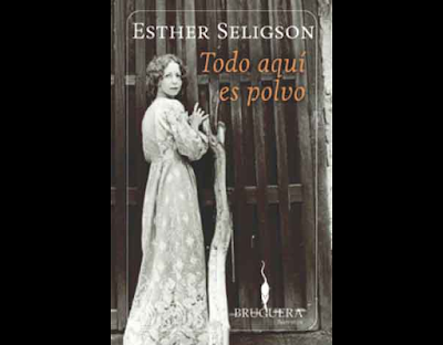 Todo aquí es polvo - Esther Seligson