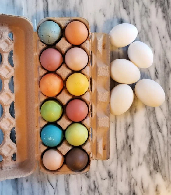 carton of Easter eggs, white eggs on counter