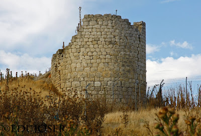 EDUJOSER CASTILLO DE SAN MARTÍN DE VALVENÍ (Valladolid)