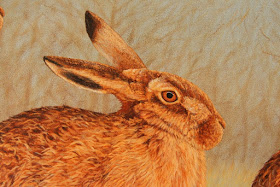 A Day In the Life of a Wildlife Artist: Nearly finished: New hare painting