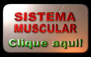 TUTORIAIS SISTEMA MUSCULAR