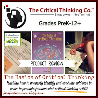 Basics of Critical Thinking ~ Product Review