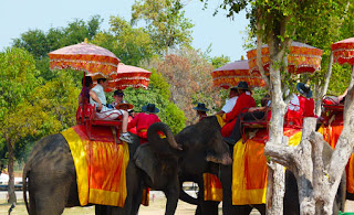 Ayutthaya day tour and elephants Ayutthaya day tour and elephants