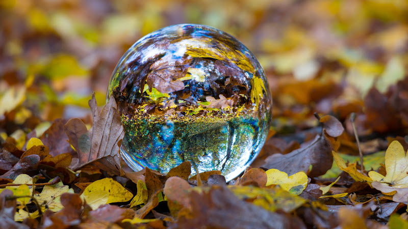 Glass Ball on Autumn Leaves