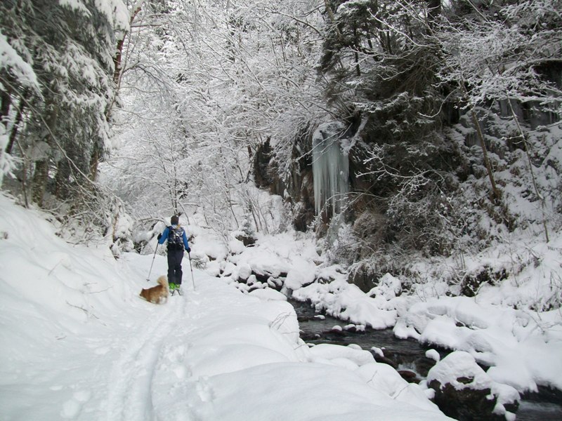 Alpinline Monte Telènek dalla Valle di Campovecchio, Aprica (SO) 21/1