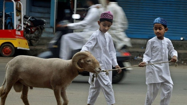 4 Keterangan Ulama' Tentang Keutamaan Kambing Sebagai Hewan Qur'ban Idhul Adha 4 Keterangan Ulama' Tentang Keutamaan Kambing Sebagai Hewan Qur'ban Idhul Adha